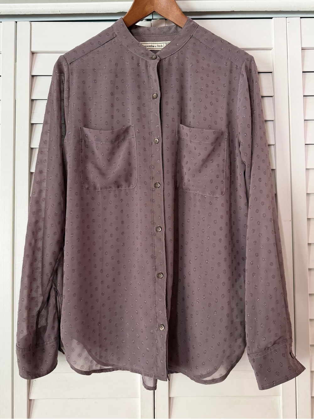 Abercrombie & Fitch Mauve Textured Dot Sheer Button Down Blouse - Size M